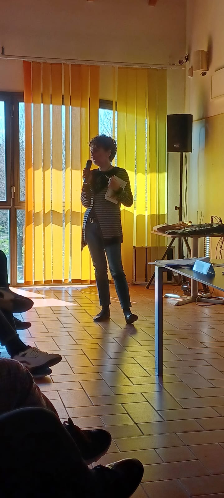 Un'immagine che ritrae pavimentazione, pavimento, mobilia, trattamento delle finestre e sedia.